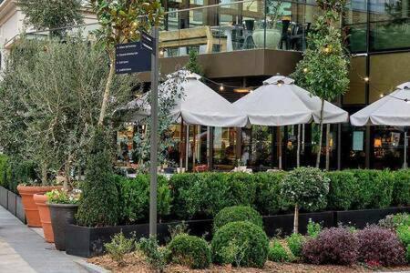 Beautiful Apartment Overlooking A Garden London Eksteriør bilde